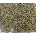 Свежие кофейные зерна по конкурентоспособной цене